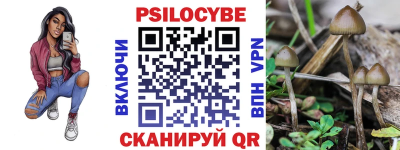 Галлюциногенные грибы GOLDEN TEACHER  Купить  Ладушкин 