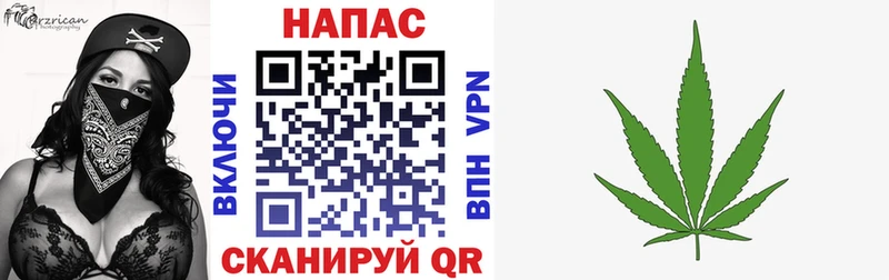Конопля Bruce Banner  Купить  Ладушкин 